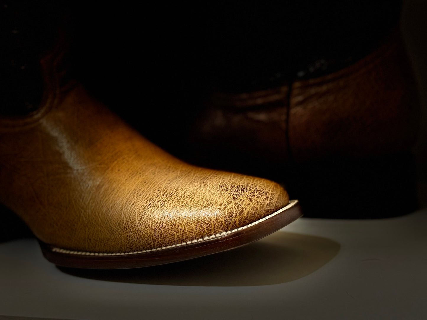 The Alamo - Smooth Ostrich