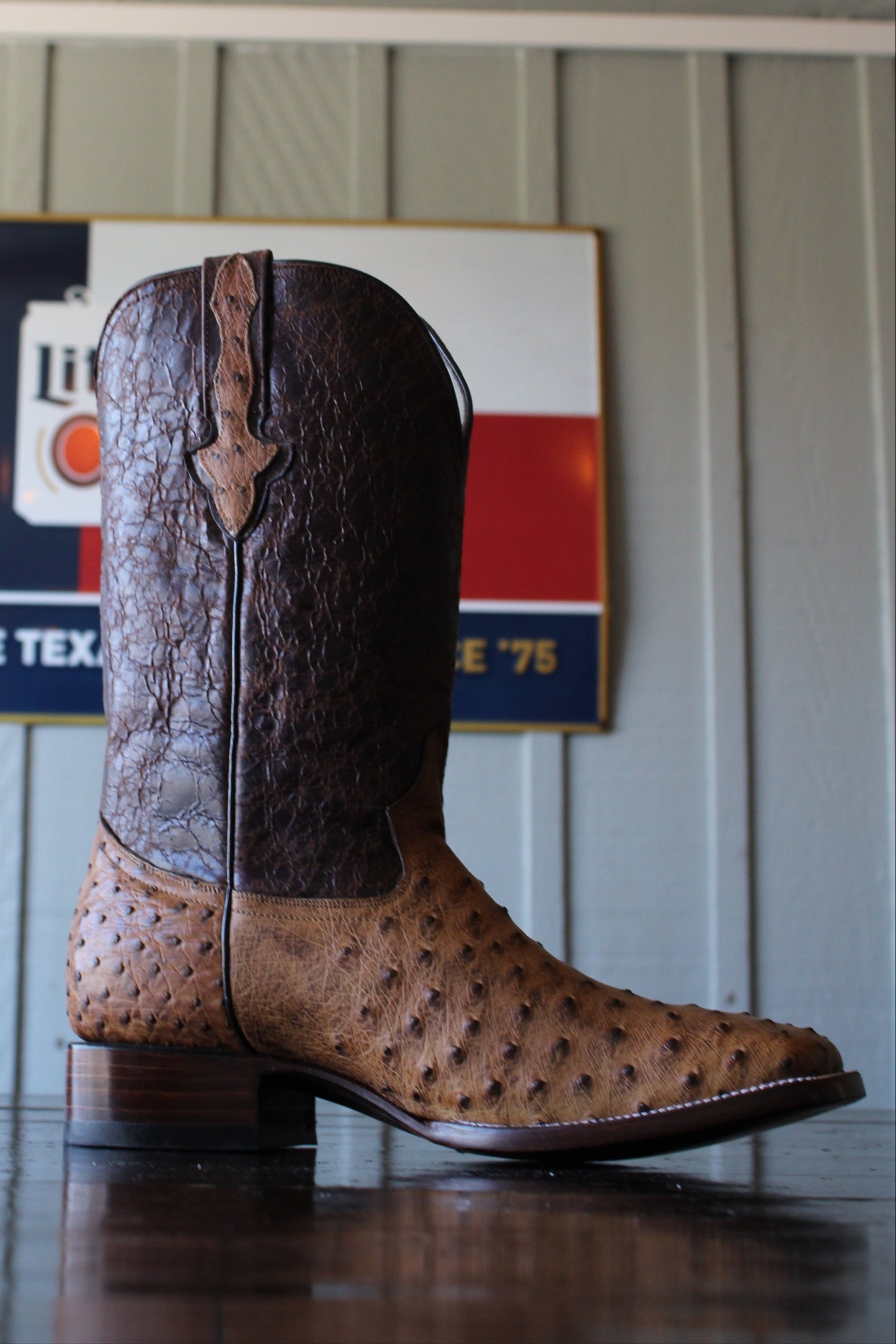 The Alamo - Full Quill Ostrich